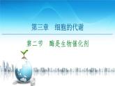 高中生物新浙科版必修1 第3章　第2节　酶是生物催化剂 课件（100张）