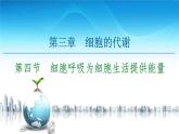高中生物新浙科版必修1 第3章　第4节　细胞呼吸为细胞生活提供能量 课件（116张）