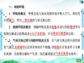 高中生物新浙科版必修1 第3章　第4节　细胞呼吸为细胞生活提供能量 课件（116张）
