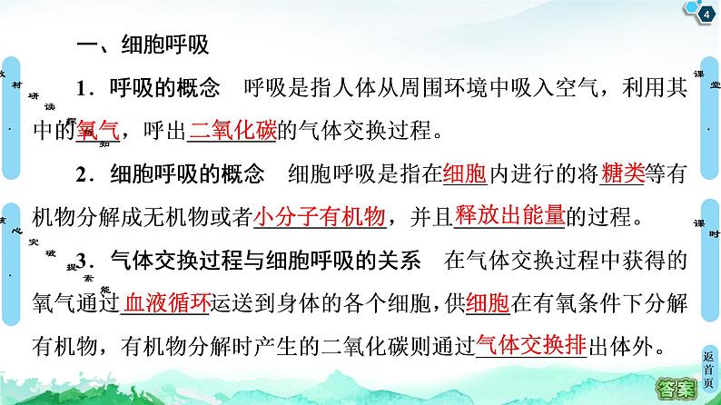 高中生物新浙科版必修1 第3章　第4节　细胞呼吸为细胞生活提供能量 课件（116张）04