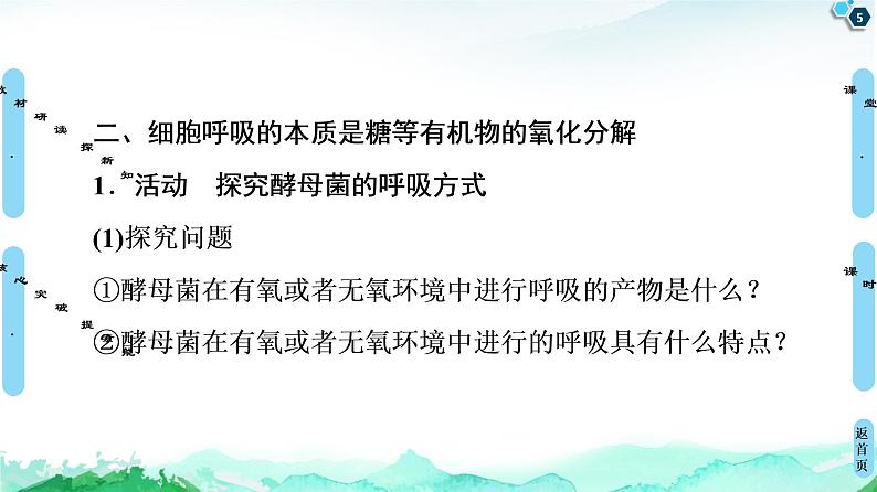 高中生物新浙科版必修1 第3章　第4节　细胞呼吸为细胞生活提供能量 课件（116张）05