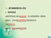 第4章 第3节 人体通过特异性免疫对抗病原体 课件（83张）-高中生物新浙科版（2019）选择性必修1