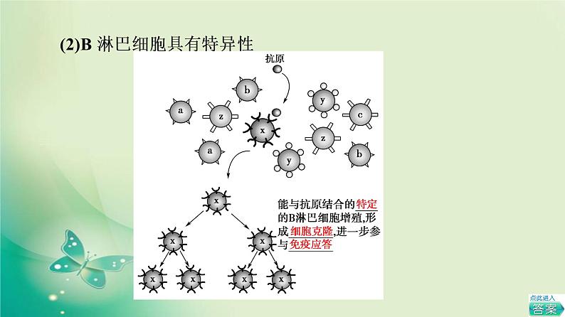 第4章 第3节 人体通过特异性免疫对抗病原体 课件（83张）-高中生物新浙科版（2019）选择性必修106