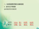 第5章 第1节 生长素的发现开启了人类对植物激素调节的探索 课件（95张）-高中生物新浙科版（2019）选择性必修1