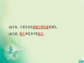 第5章 第2节 植物激素调节植物生命活动 课件（74张）-高中生物新浙科版（2019）选择性必修1