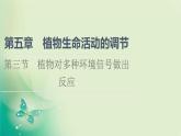 第5章 第3节 植物对多种环境信号做出反应 课件（69张）-高中生物新浙科版（2019）选择性必修1