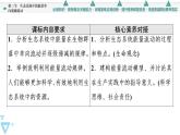 第3章 第3节 生态系统中的能量单向递减流动 课件（83张）高中生物新浙科版（2019）选择性必修2