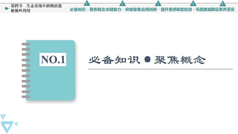 第3章 第4节 生态系统中的物质能被循环利用 课件（73张）高中生物新浙科版（2019）选择性必修203