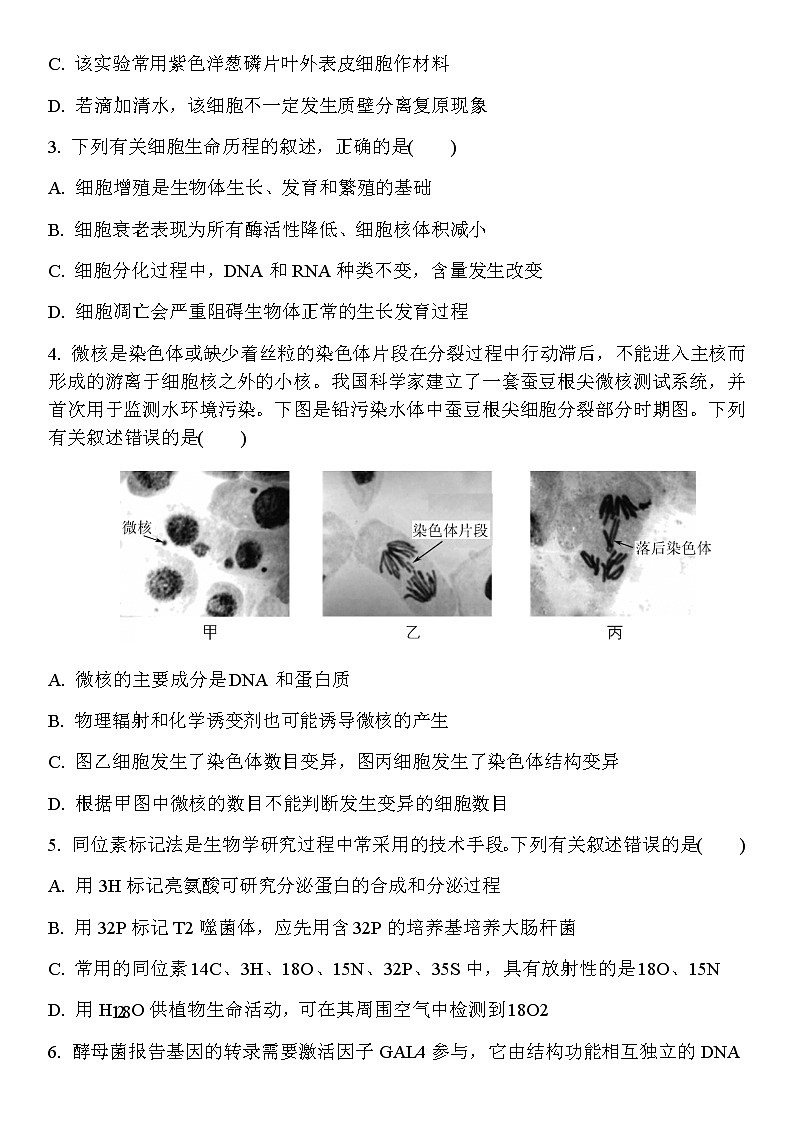 2022届江苏省盐城市高三下学期5月第三次模拟生物含答案 试卷02