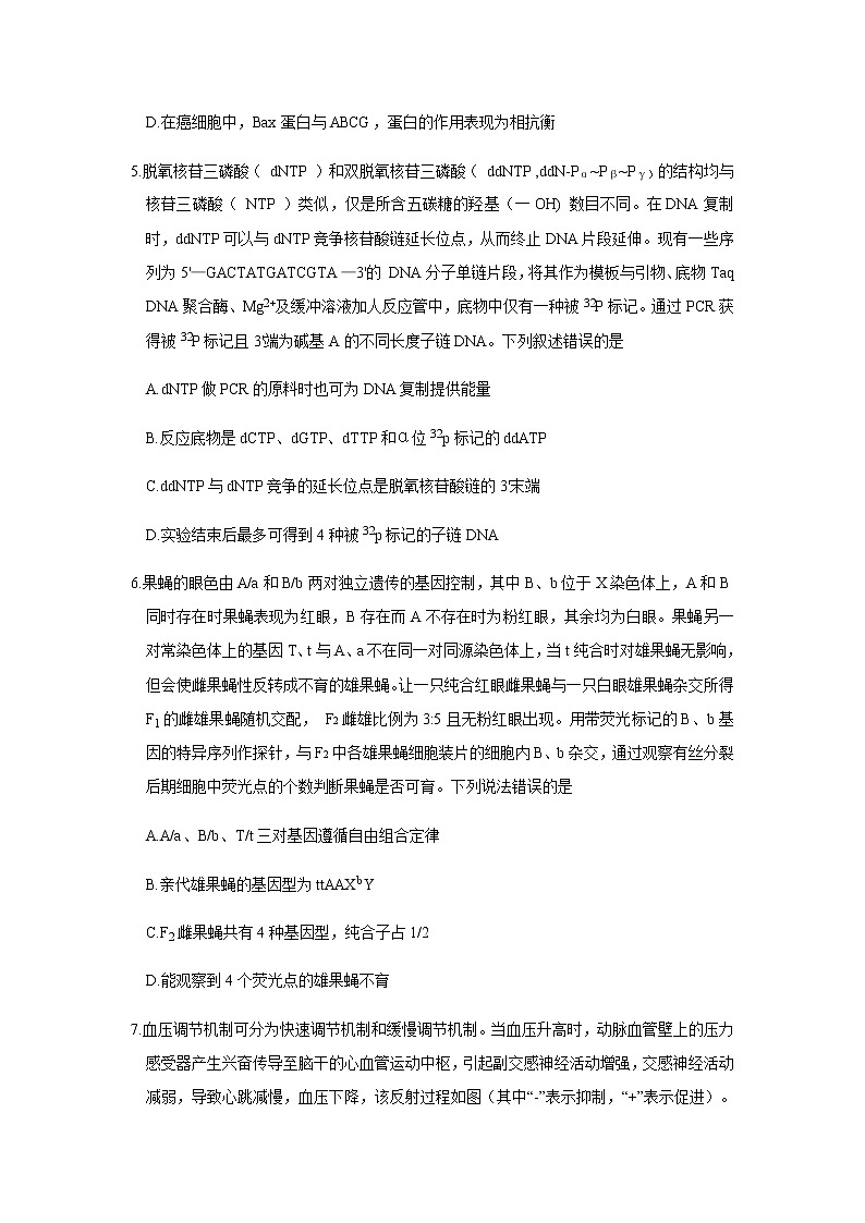 2022届山东省临沂市高三下学期5月第三次模拟考试生物学试题word版含答案03