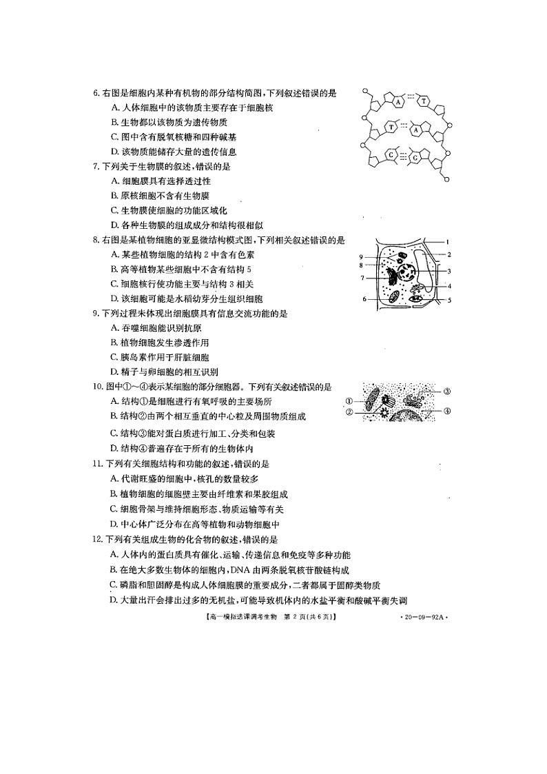 高中生物必修一 2019-2020学年山东省济南市历城第二中学高一上学期模拟选课调考（期中）生物试题 PDF版02