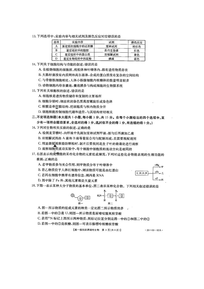高中生物必修一 2019-2020学年山东省济南市历城第二中学高一上学期模拟选课调考（期中）生物试题 PDF版03