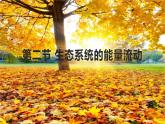 高中生物选择性必修二 3.2能量流动 课件