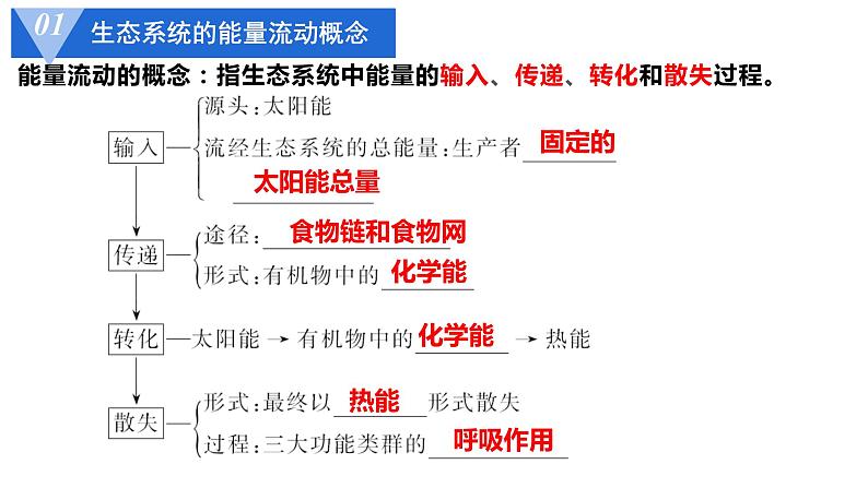 高中生物选择性必修二 3.2能量流动 课件第3页