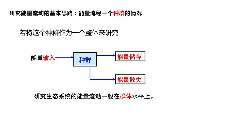 高中生物选择性必修二 3.2能量流动 课件第4页