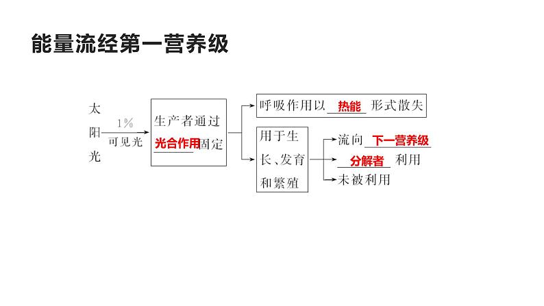 高中生物选择性必修二 3.2能量流动 课件第6页