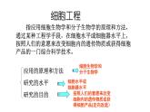 高中生物选择性必修三  2.1.1 植物细胞工程（第一课时） 课件