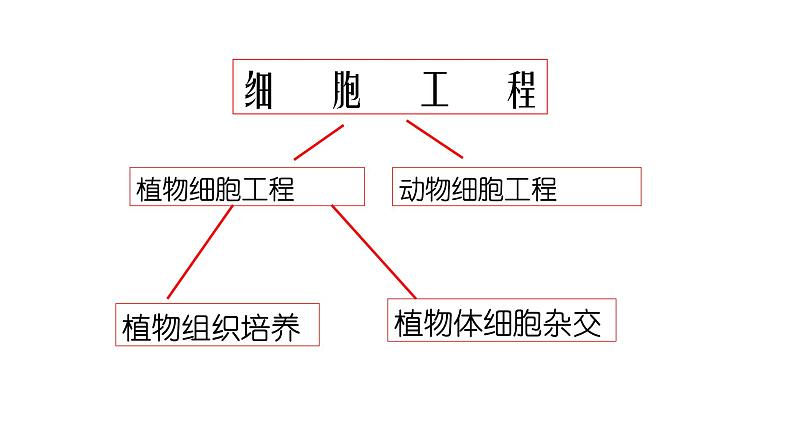 高中生物选择性必修三  2.1.1 植物细胞工程（第一课时） 课件第4页