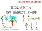 高中生物选择性必修三  2.1.1 植物细胞工程（第一课时） 课件