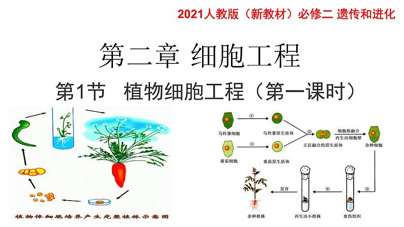 高中生物选择性必修三  2.1.1 植物细胞工程（第一课时） 课件第5页