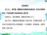 高中生物选择性必修三  第1章 素能提升课 发酵工程与其他相关知识的综合 课件