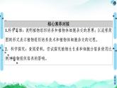 高中生物选择性必修三  第2章 第1节 第1课时 植物细胞工程的基本技术 课件