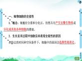 高中生物选择性必修三  第2章 第1节 第1课时 植物细胞工程的基本技术 课件