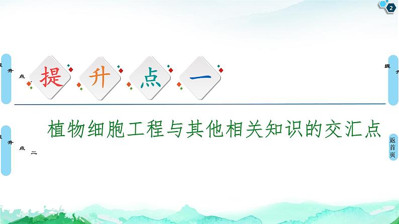 高中生物选择性必修三  第2章 素能提升课 细胞工程与其他相关知识的综合 课件第2页