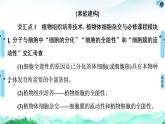 高中生物选择性必修三  第2章 素能提升课 细胞工程与其他相关知识的综合 课件