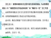 高中生物选择性必修三  第2章 素能提升课 细胞工程与其他相关知识的综合 课件