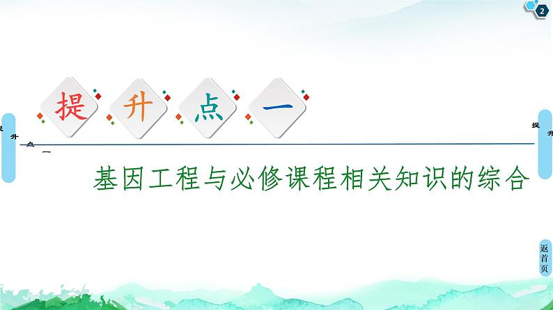 高中生物选择性必修三  第3章 素能提升课 基因工程与其他相关知识的综合 课件第2页