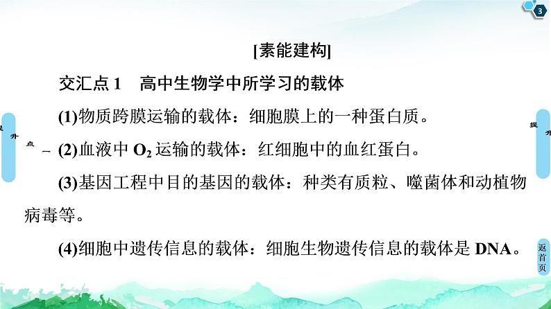 高中生物选择性必修三  第3章 素能提升课 基因工程与其他相关知识的综合 课件第3页