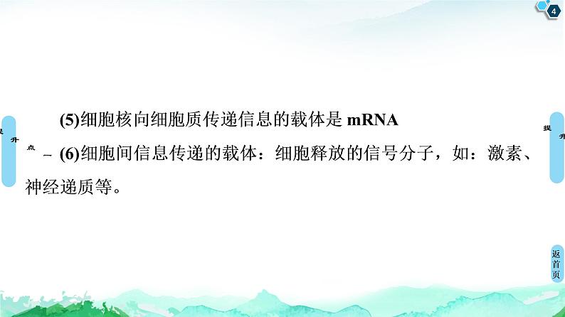 高中生物选择性必修三  第3章 素能提升课 基因工程与其他相关知识的综合 课件第4页