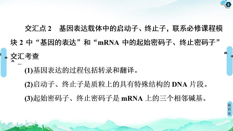 高中生物选择性必修三  第3章 素能提升课 基因工程与其他相关知识的综合 课件第5页