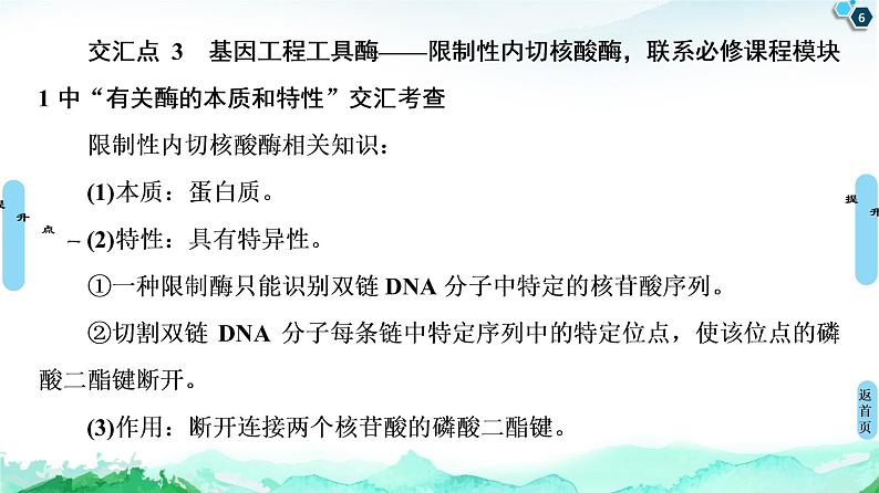 高中生物选择性必修三  第3章 素能提升课 基因工程与其他相关知识的综合 课件第6页