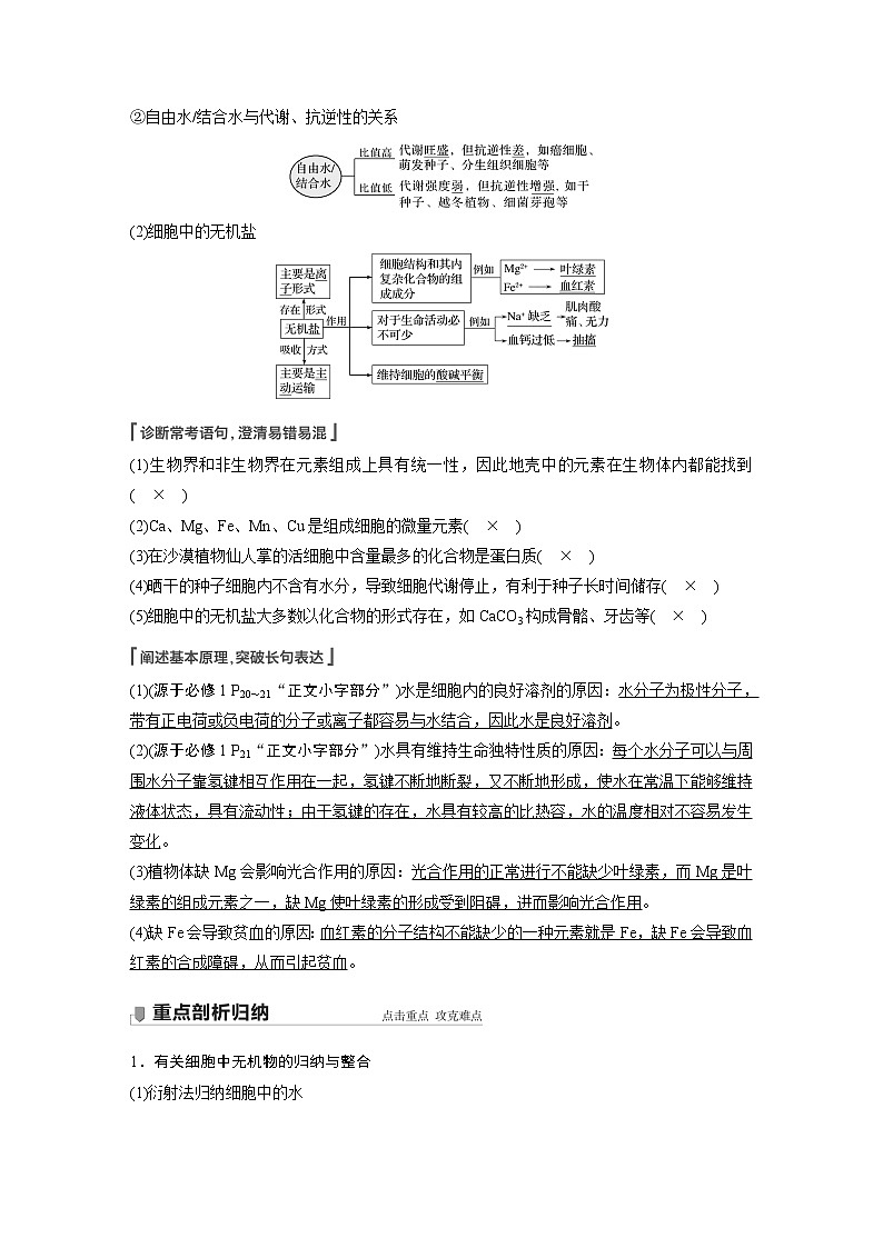 2 2022年高考生物一轮复习（新高考版2(鲁辽)适用） 第1单元 第2讲 细胞中的无机物、糖类和脂质第2页