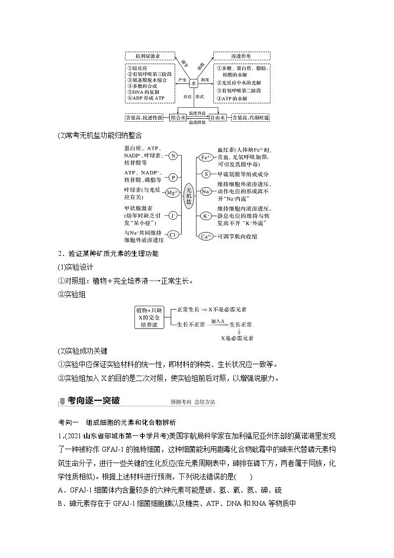2 2022年高考生物一轮复习（新高考版2(鲁辽)适用） 第1单元 第2讲 细胞中的无机物、糖类和脂质第3页