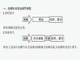 人教版高中生物选择性必修一微专题二动物生命活动调节类型及下丘脑课件