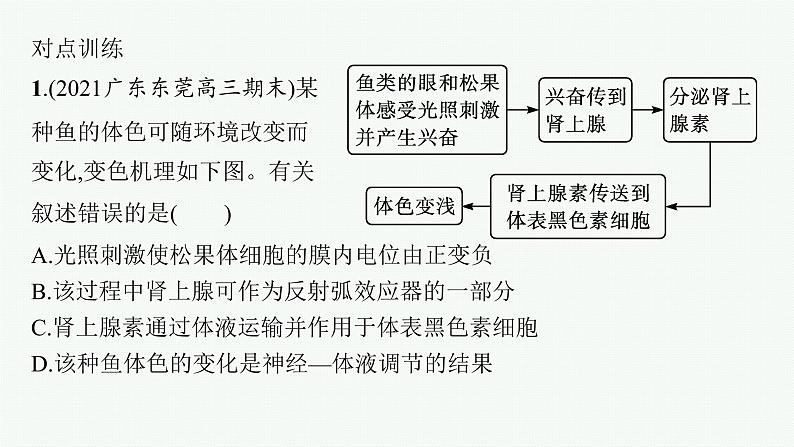 人教版高中生物选择性必修一微专题二动物生命活动调节类型及下丘脑课件第4页