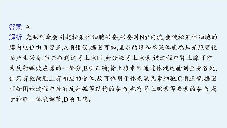 人教版高中生物选择性必修一微专题二动物生命活动调节类型及下丘脑课件第5页