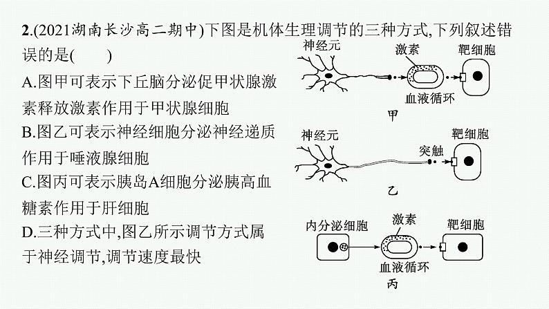 人教版高中生物选择性必修一微专题二动物生命活动调节类型及下丘脑课件第6页