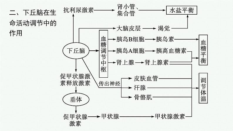 人教版高中生物选择性必修一微专题二动物生命活动调节类型及下丘脑课件第8页