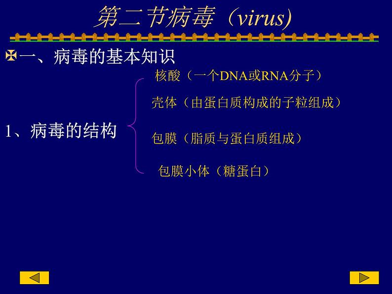 2023届高三一轮复习生物：人教版高中生物：细胞的多样性和统一性 (22)课件第7页