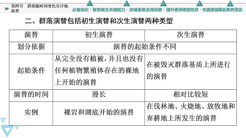 第2章 第4节 群落随时间变化有序地演替 课件（57张）高中生物新浙科版（2019）选择性必修207