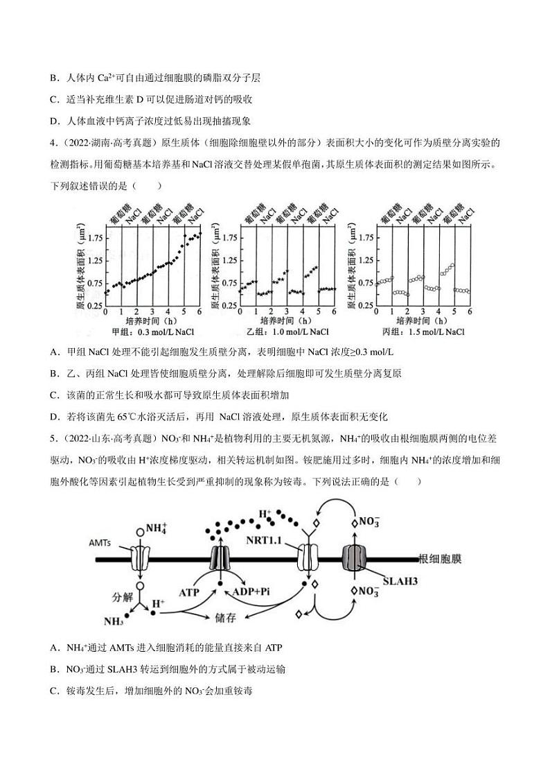 （2018-2022）五年高考生物真题分类汇编 专题02 细胞的物质运输、酶与ATP（学生版+解析版）02