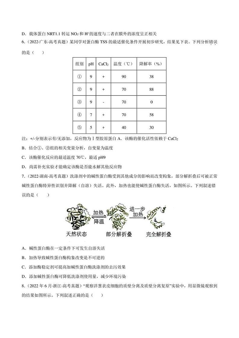 （2018-2022）五年高考生物真题分类汇编 专题02 细胞的物质运输、酶与ATP（学生版+解析版）03
