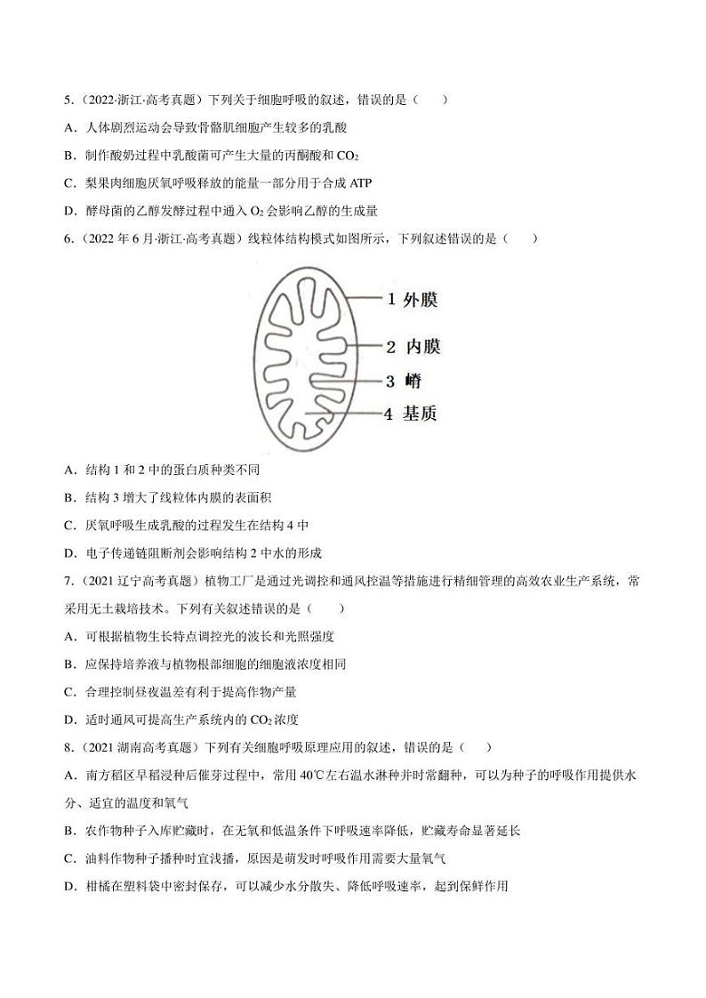 （2018-2022）五年高考生物真题分类汇编 专题03 光合作用和细胞呼吸（学生版+解析版）02