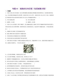 （2018-2022）五年高考生物真题分类汇编 专题04 细胞的生命历程（包括减数分裂）（学生版+解析版）