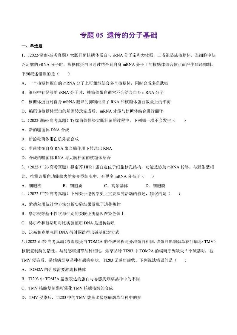 （2018-2022）五年高考生物真题分类汇编 专题05 遗传的分子基础（学生版+解析版）01
