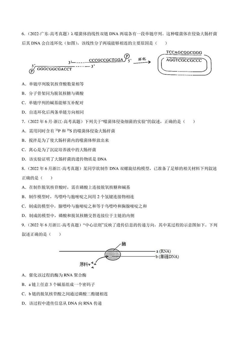 （2018-2022）五年高考生物真题分类汇编 专题05 遗传的分子基础（学生版+解析版）02